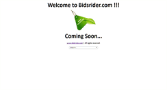 Desktop Screenshot of bidsrider.com